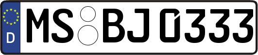 MS-BJ0333