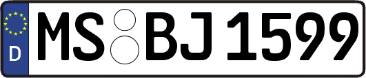 MS-BJ1599