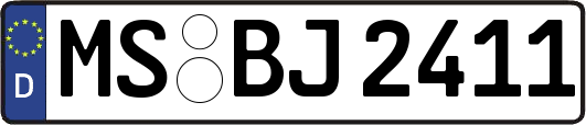 MS-BJ2411