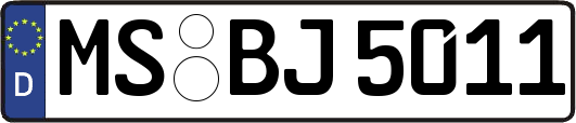 MS-BJ5011