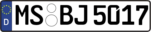 MS-BJ5017
