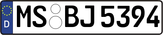 MS-BJ5394