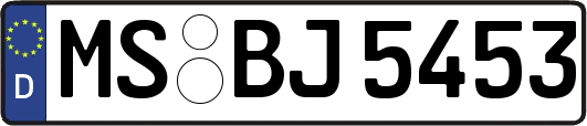 MS-BJ5453