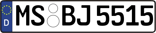 MS-BJ5515