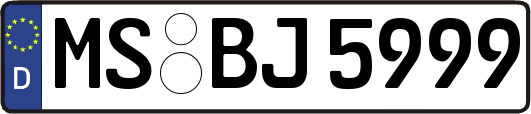 MS-BJ5999
