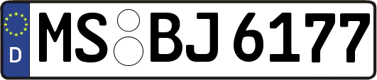 MS-BJ6177