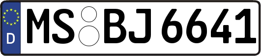 MS-BJ6641