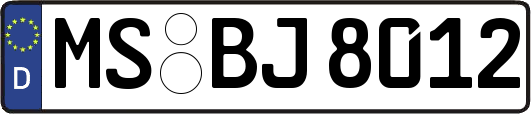 MS-BJ8012