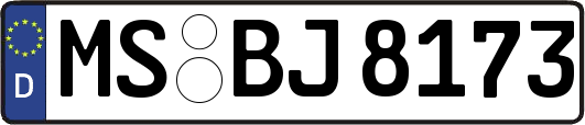 MS-BJ8173