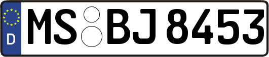 MS-BJ8453