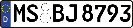 MS-BJ8793