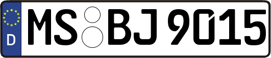 MS-BJ9015
