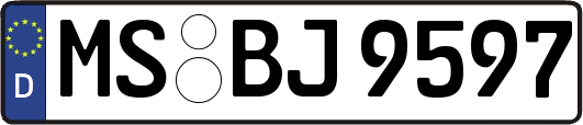 MS-BJ9597
