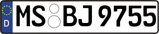 MS-BJ9755