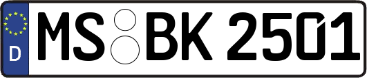 MS-BK2501