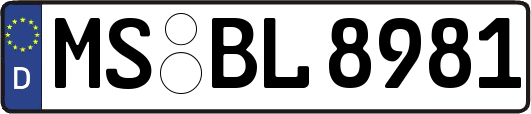 MS-BL8981