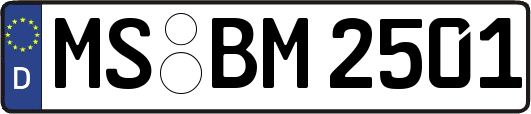 MS-BM2501