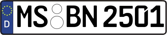 MS-BN2501