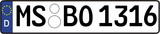 MS-BO1316