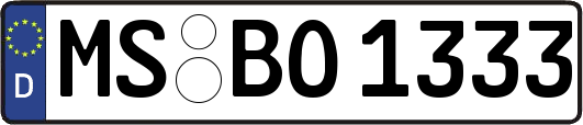 MS-BO1333