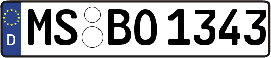 MS-BO1343