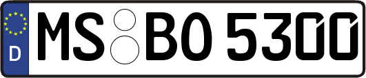MS-BO5300