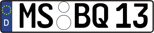 MS-BQ13