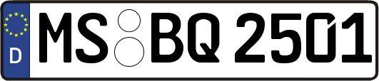 MS-BQ2501
