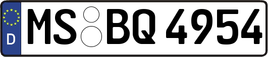 MS-BQ4954