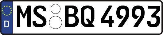 MS-BQ4993