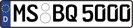 MS-BQ5000