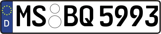 MS-BQ5993