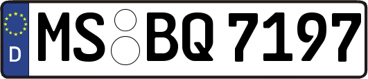 MS-BQ7197