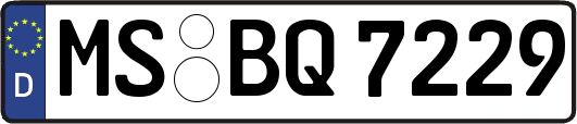 MS-BQ7229