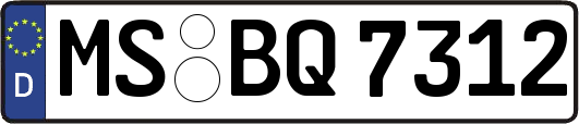 MS-BQ7312