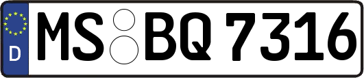 MS-BQ7316