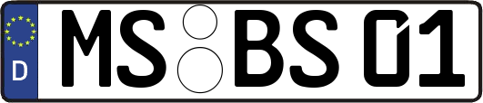 MS-BS01