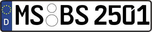 MS-BS2501