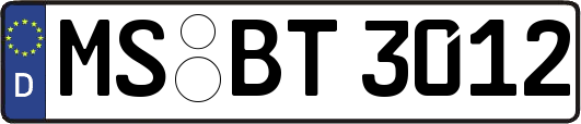 MS-BT3012