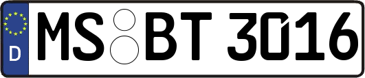 MS-BT3016