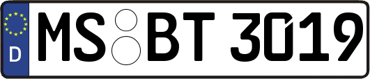 MS-BT3019