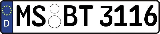 MS-BT3116