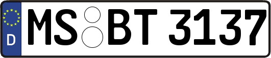 MS-BT3137