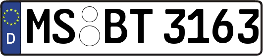 MS-BT3163