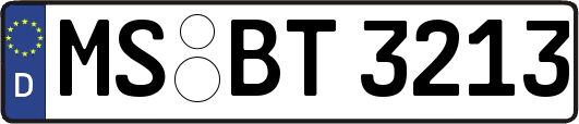 MS-BT3213