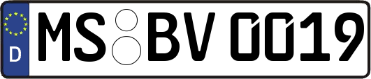 MS-BV0019