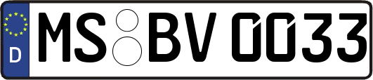 MS-BV0033