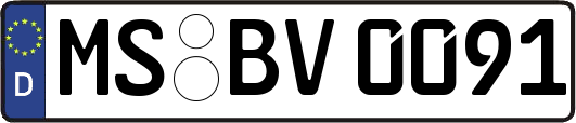 MS-BV0091