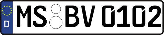 MS-BV0102
