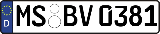 MS-BV0381